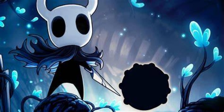 𝐒𝐞𝐚𝐥𝐞𝐝 𝐒𝐢𝐛𝐥𝐢𝐧𝐠𝐬 Hollow Knight™ Amino