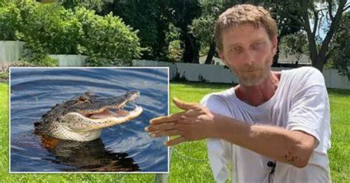 Alligator tears man&rsquo;s arm off after he went to urinate&hellip;