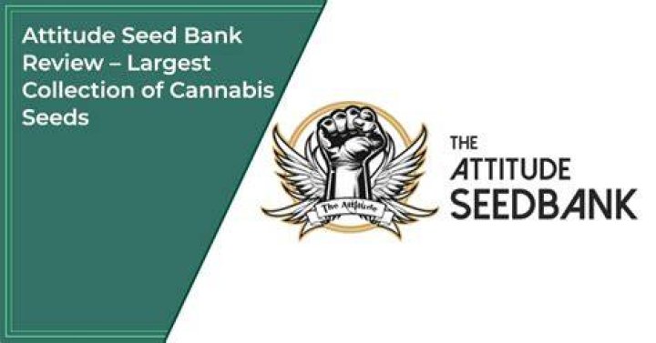 Attitude Seed Bank Review Marijuana Seeds YouTube