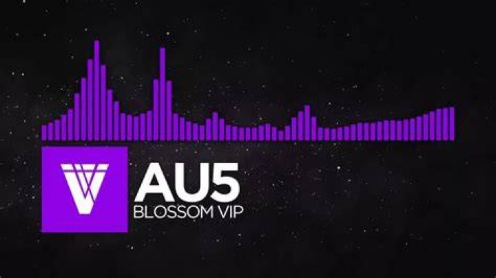 Au5 Blossom (VIP) YouTube