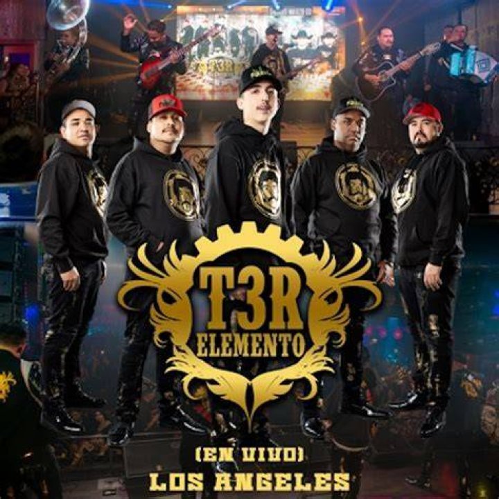 Biograf&iacute;a de T3r Elemento Integrantes, &eacute;xitos y fracasos, canciones