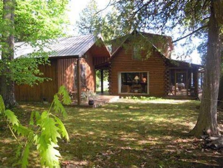 Cabin Bernie Cabin, Bernie, Dogs