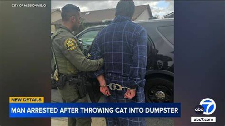California man arrested after throwing 2yearold daughter's pet rabbit