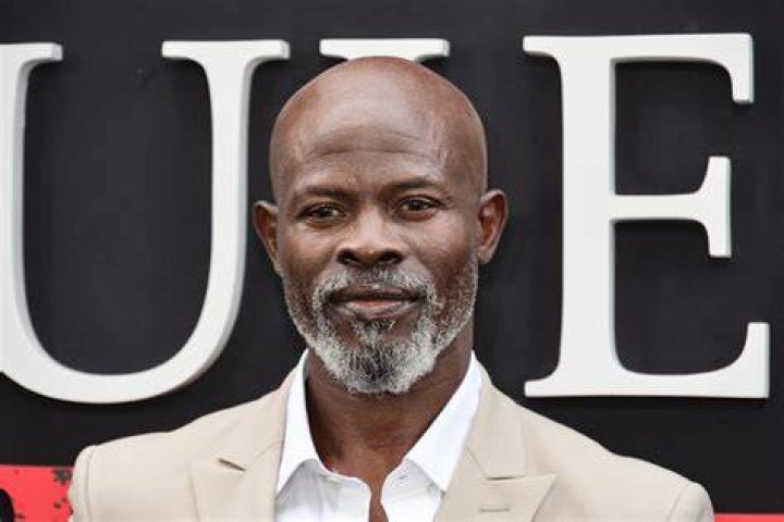 Djimon Hounsou Net Worth Wiki, Age, Weight and Height, Relationships
