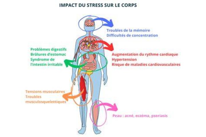 Fi&egrave;vre le stress peut aussi augmenter votre temp&eacute;rature corporelle