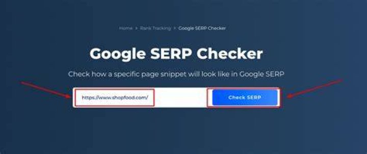 Google SERP Position Checker to Increase Organic Traffic to Your