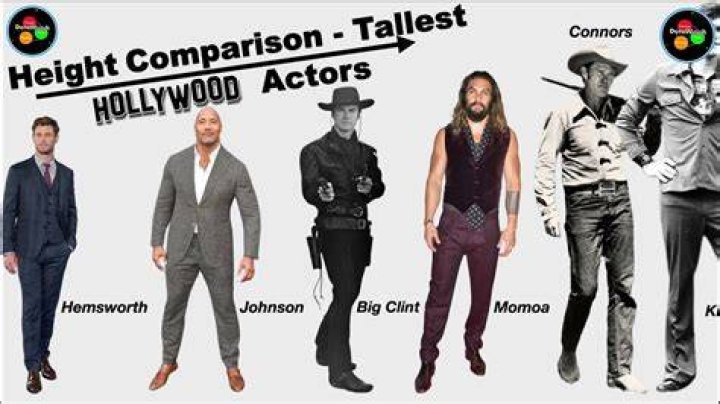 Hollywood Actors Height Stetsone