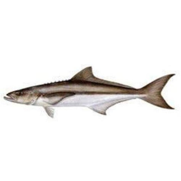 Kadal Viral Fish, Packaging Type Thermocol Box at Rs 430/kilogram in