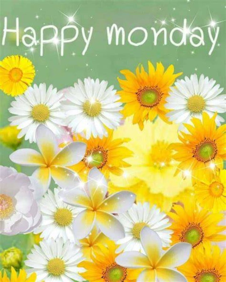 Laurenthegaqueen happy monday 04012021