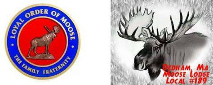 Loyal Order of Moose Lodge 2267 13 Photos Hotels 6191 Rock Island Rd, Tamarac, FL, United