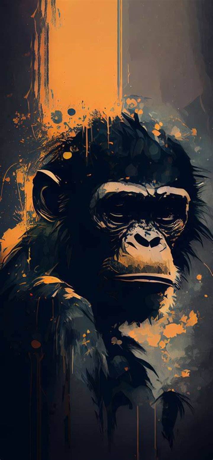 Monkey Wallpaper EnWallpaper
