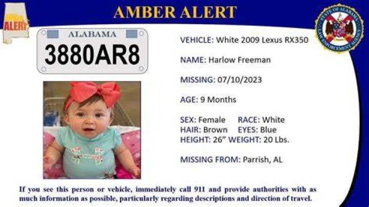 Parrish Twins Missing Update 2023 Is 9 Months Baby Found Yet?