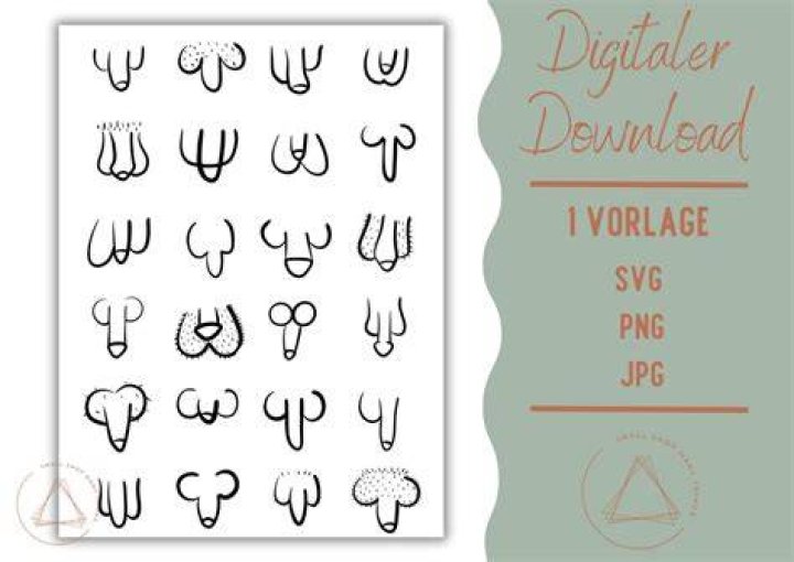 Penis Typography Font,ttf,eps,png,pdf,dxf,svg Etsy UK