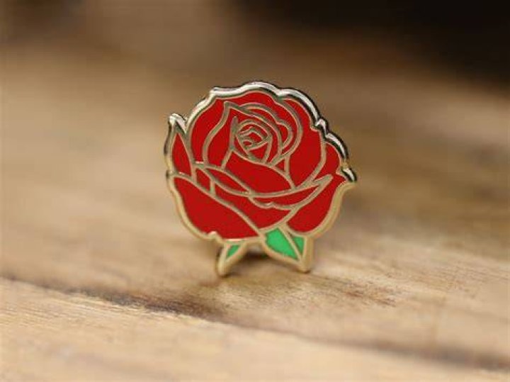 Pin on Layla Rose