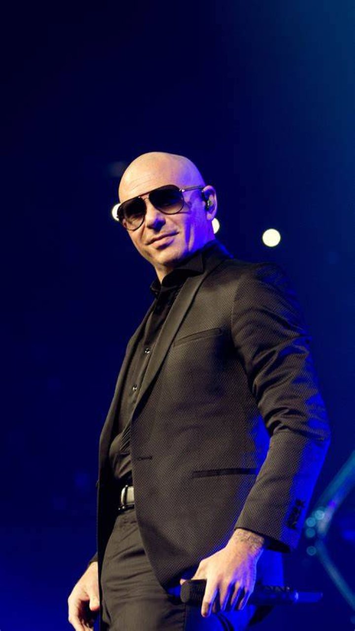 Pitbull Biography Pitbull rapper, Pitbulls, Pitbull albums