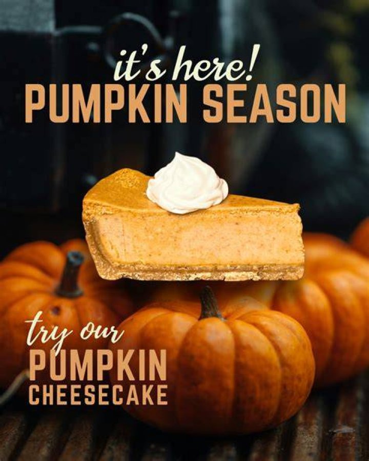 pumpkin season! 🎃 available as my october patreon...