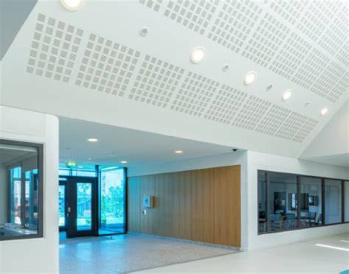 Replacement for Central Mental Hospital at St Ita's is on track