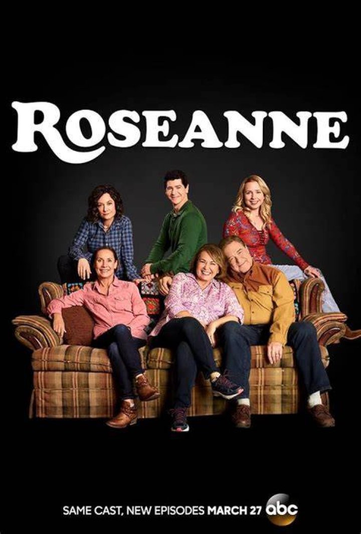 Roseanne (TV Series 19882018) IMDb