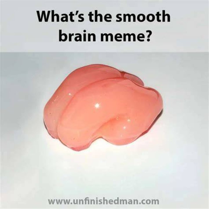Smooth Brain Meme Chameleon Memes