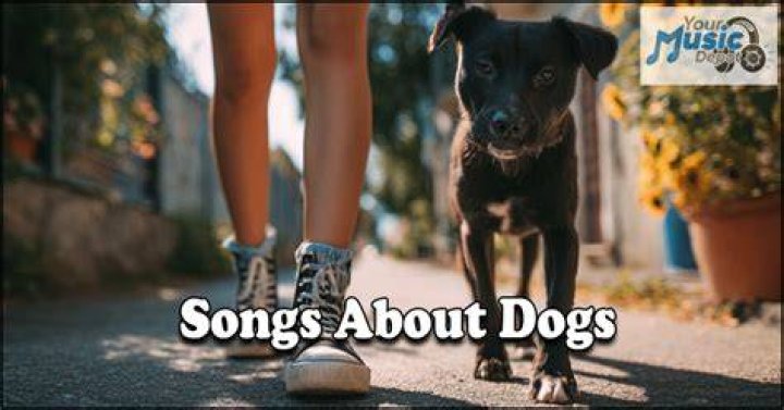 Songs About Dogs 51+ Best Songs About Our Four Legged Friends