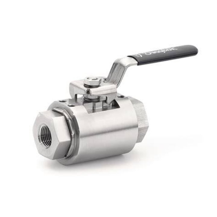 Swagelok SSMD16 Stainless Steel Bug Filter 1" Male NPT