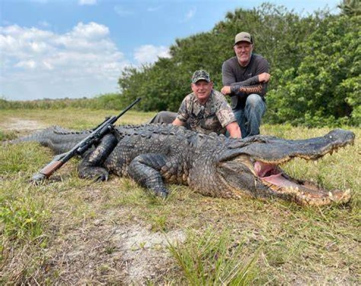 The alligator hunting is on fire right now!!! With mating s