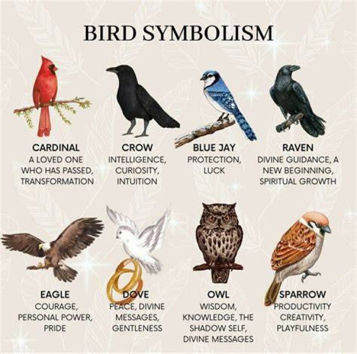 The meaning and symbolism of the word &laquo;Pain&raquo;