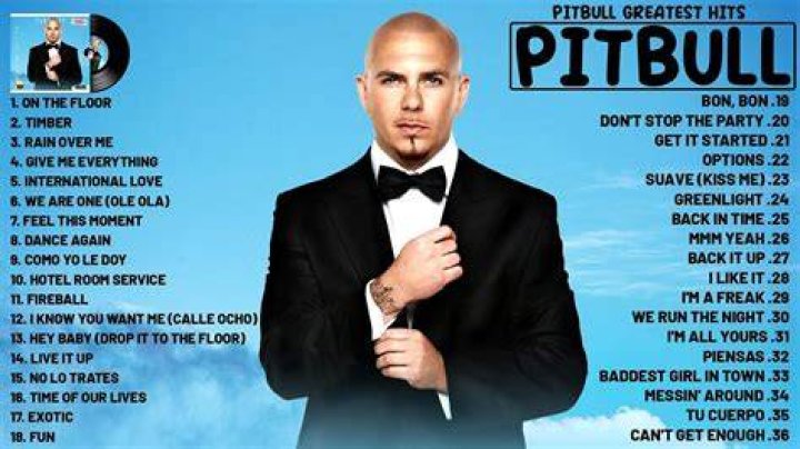 The Top 10 Pitbull Songs of All Time