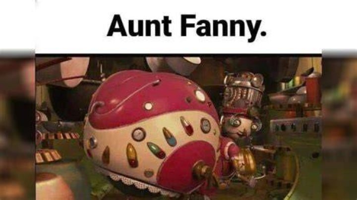 Tia Turbina OnlyFans Aunt Fanny / Tia Turbina Know Your Meme