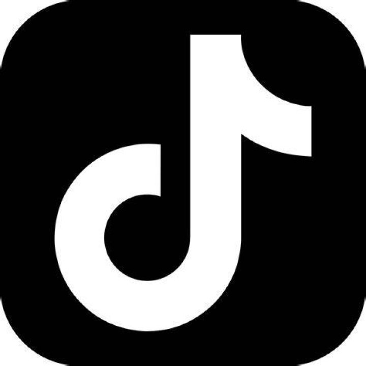 TikTok app logo transparent PNG StickPNG