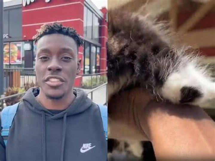 Trevon Sellers Arrested For Torturing A Cat Controversy