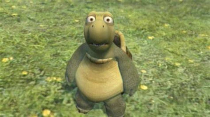 turtle over the hedge meme Impressed Top
