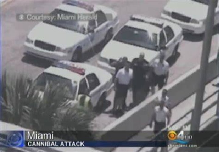 Unraveling The Mystery Of The Miami Cannibal Attack