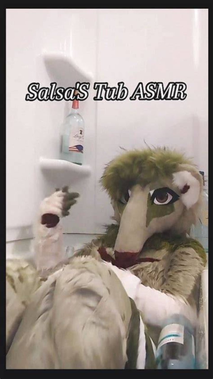 When Furries take a bath YouTube