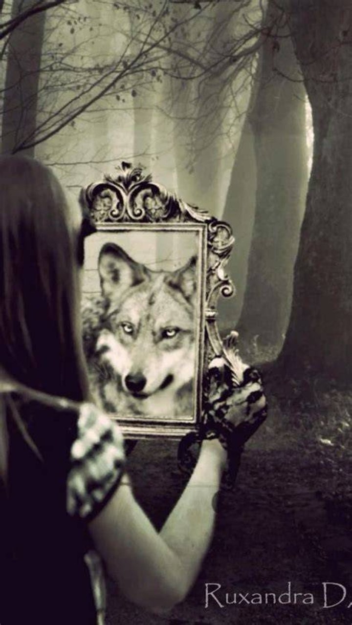 Wolf Spirit Mirror DK Creations